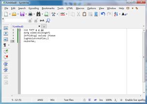 SynWrite v6.15.1920 中文綠色版 輕量高效的代碼編輯器