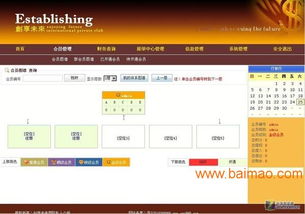 分盤直銷制度與系統 軟件開發的關鍵應用與市場洞察