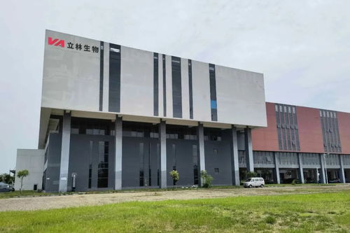 雙品牌驅動，投資過億建雙工廠 投資管理新策略探析